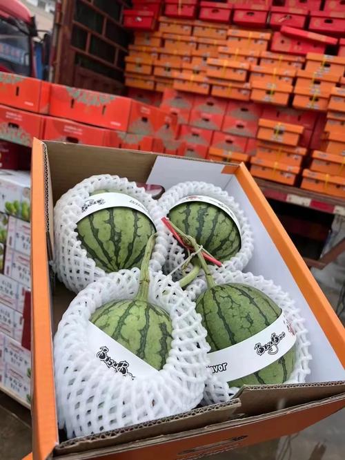 深圳機(jī)場(chǎng)到海吉星的貨運(yùn)深圳機(jī)場(chǎng)到海吉星的貨運(yùn)部電話