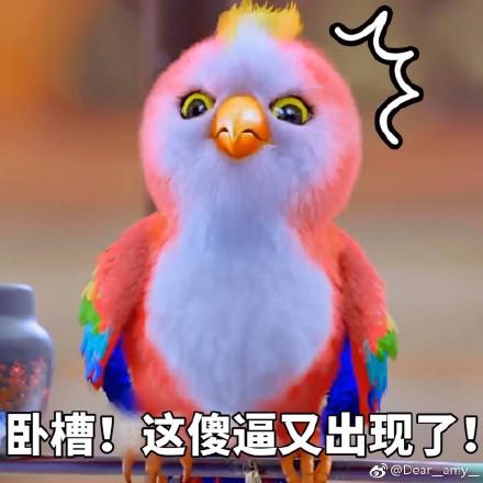 南航貨運(yùn)鸚鵡南航貨運(yùn)鸚鵡事件