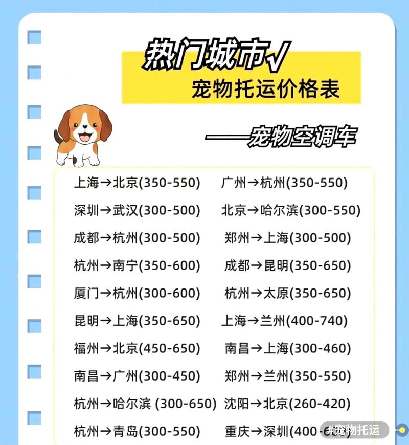 機(jī)場(chǎng)貨運(yùn)貓機(jī)場(chǎng)運(yùn)貓多少錢