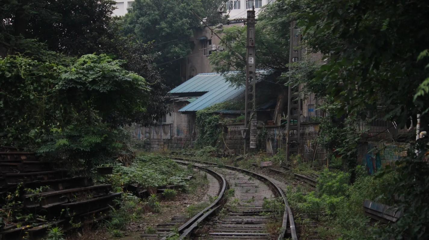 廢棄貨運(yùn)鐵路廢棄貨運(yùn)鐵路的危害